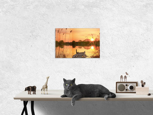 Im Schilf - Acrylglasbild
