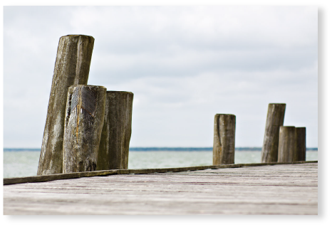 Am Steg - PVC-Poster