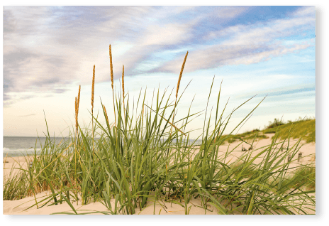Am Strand - Wandtattoo