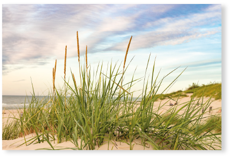 Am Strand - PVC-Poster