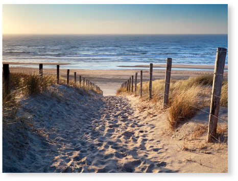 Der Weg zum Strand - PVC-Poster