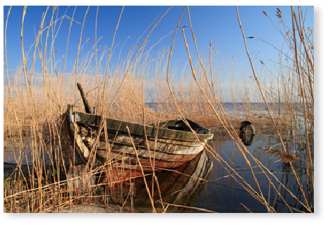 Old Boat - PVC-Poster